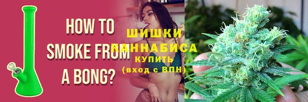 индика Белоозёрский