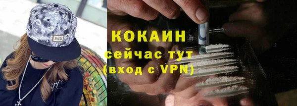индика Белоозёрский