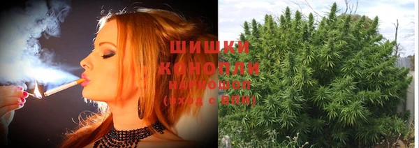 не бодяженный Белокуриха