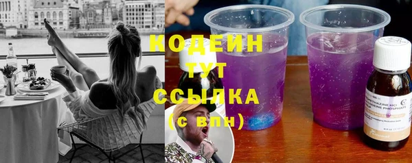 индика Белоозёрский