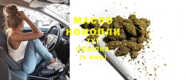 индика Белоозёрский