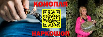 индика Можайск