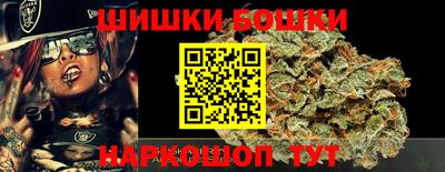индика Можайск