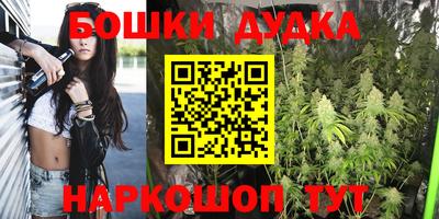 индика Можайск