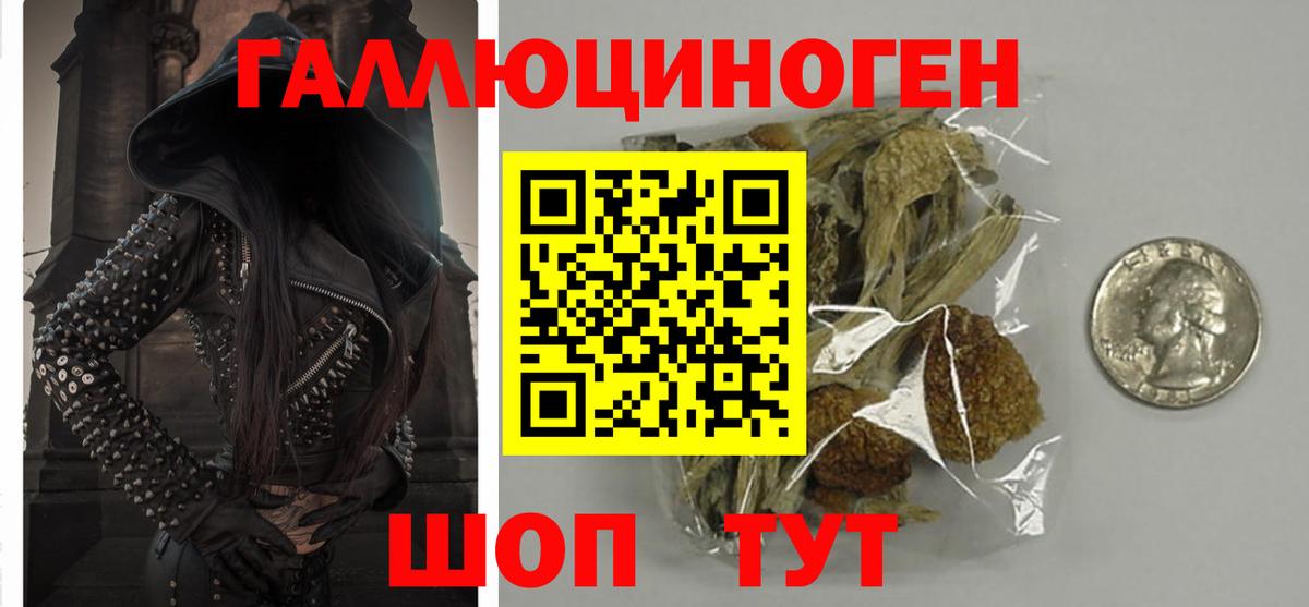 Великие Луки  Псилоцибиновые грибы MAGIC MUSHROOMS  Вход с VPN  Галлюциногенные грибы прущие грибы 
