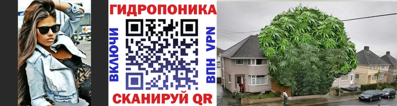 Бошки Шишки ГИДРОПОН omg онион Великие Луки
